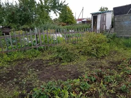Снт заря воронежская область