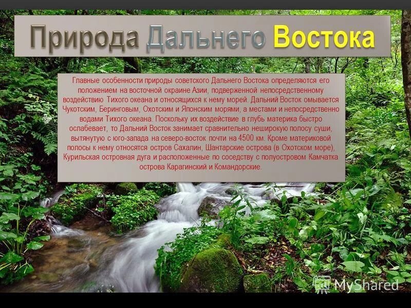 Каковы главные особенности природы дальнего востока. Специфика природы дальнего Востока. Характеристика природы дальнего Востока. Особенности бальнеговостока. Своеобразие природы дальнего Востока.