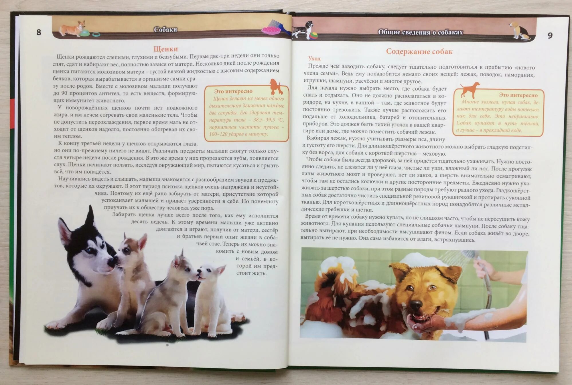 Читать произведение собака. Энциклопедия о собаках. Энциклопедия собаки книга. Книга породы собак. Книги о собаках для детей.