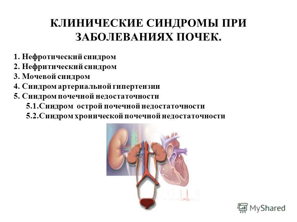 Синдромы почечных заболеваний. Синдром почечной артериальной гипертензии. Нефротический синдром при заболеваниях почек.