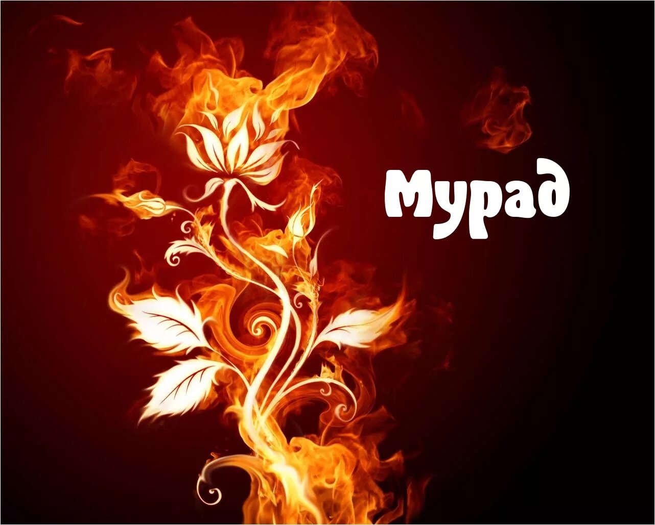 Мурад какое имя. Надпись мурад. имя мурад. картинки с именем мурад. надпись имя мурад.