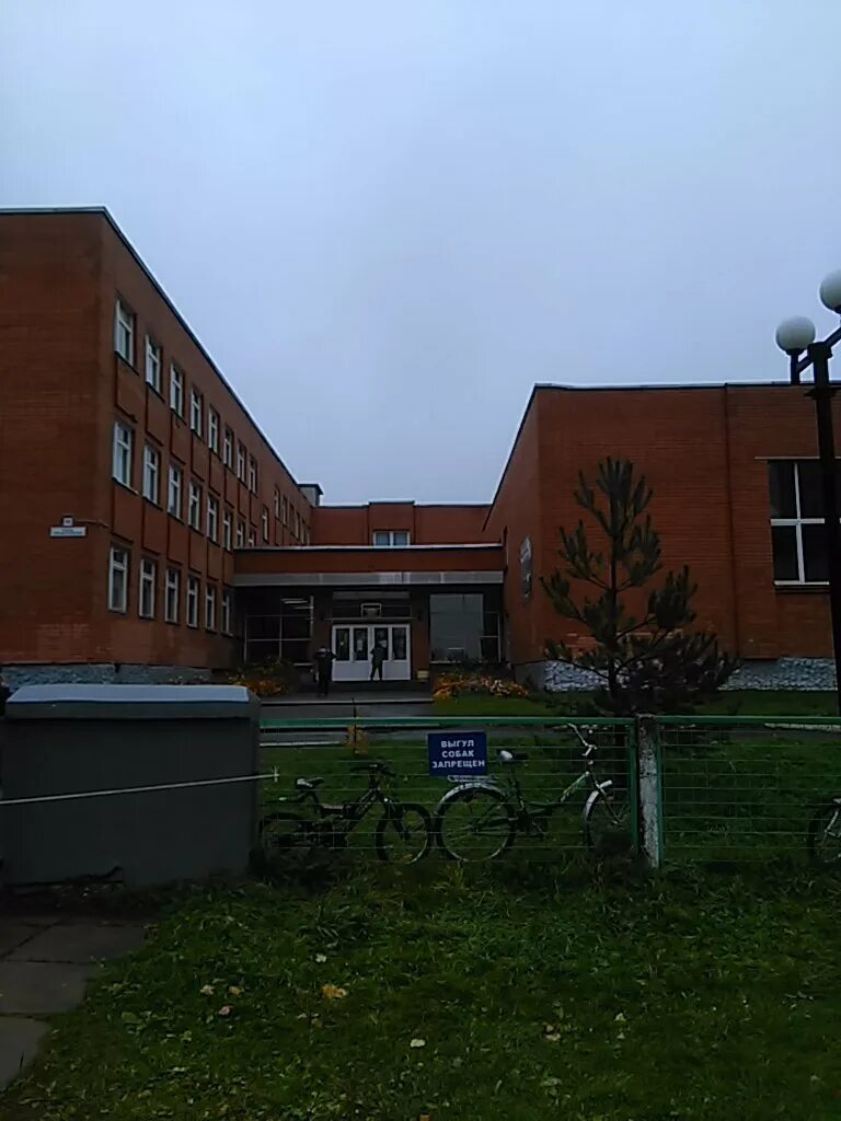 гимназия 8 рыбинск. гимназия 8 рыбинск фото. мариинская женская гимназия рыбинск. мужская гимназия рыбинск. соколова.