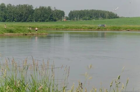 Река гнилуша