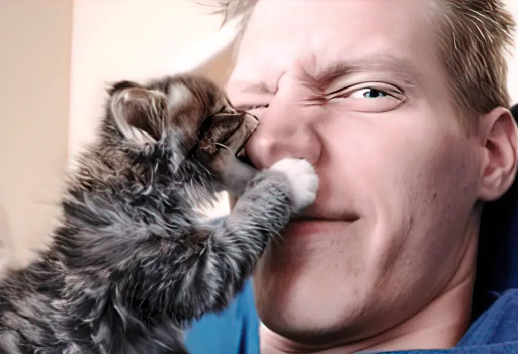 Cat bite