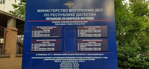 Миграционная махачкала
