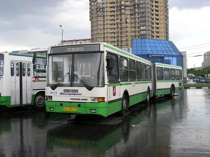 Автобус 272 москва