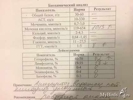 Грипп анализы сдать