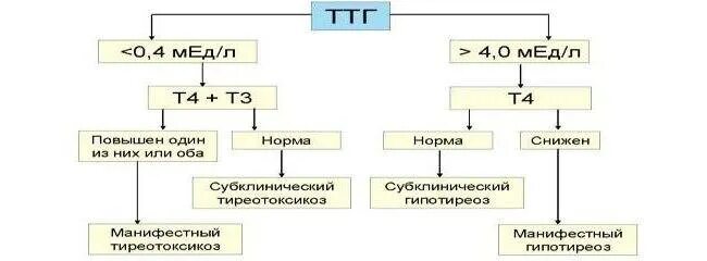 Гипотиреоз при нормальном ТТГ т3 т4. Гормоны щитовидной железы ТТГ т3 т4 норма. ТТГ т3 т4 норма. Норма ТТГ И т4.