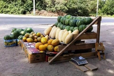 Бахчевые овощи