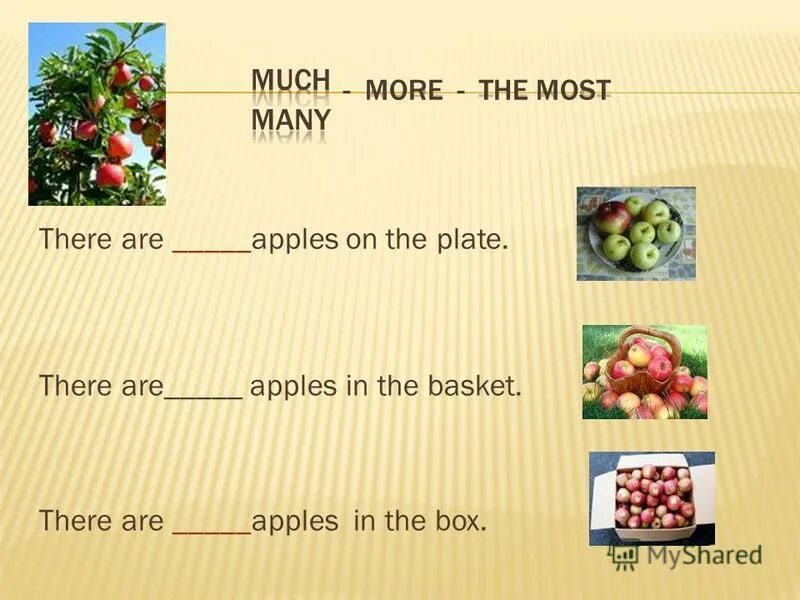 The letter a apples here, apples there, apples, apples everywhere!. Apples much или many. Оборот there is,are, some, any. There are any milk или there is any milk. Hay в испанском языке спряжение.