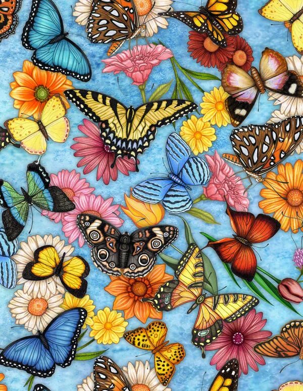 Butterfly pattern