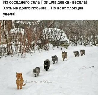 Пришла и села