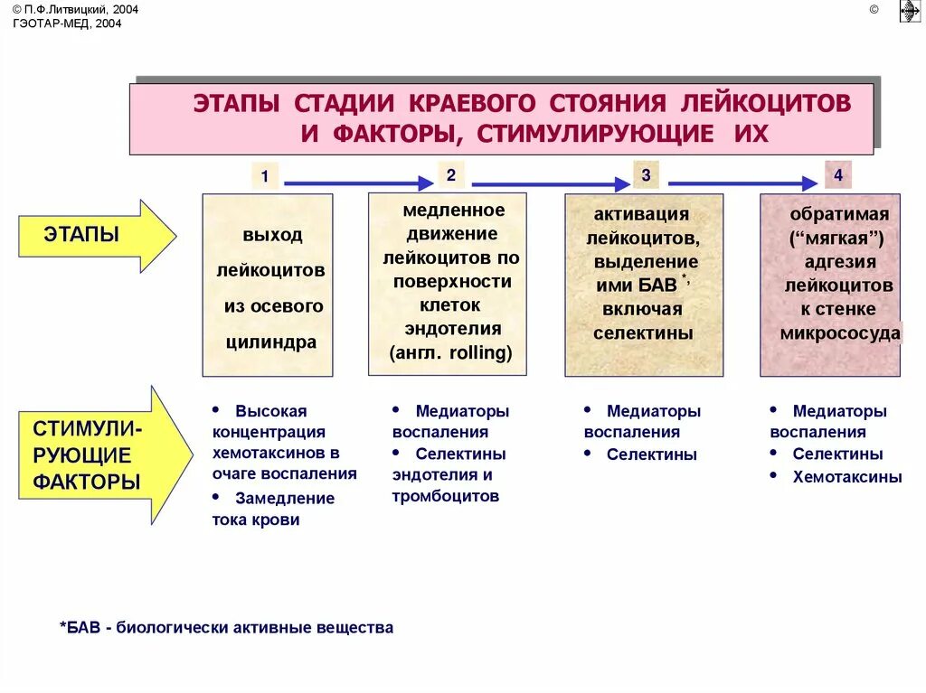 Феномен КАРЕВОГО состояния лейкоцитов это. Механизм краевого стояния лейкоцитов при воспалении. Что такое краевое строение лейкоцитов. Краеыое строение лекцоцито. Этап или стадия 3