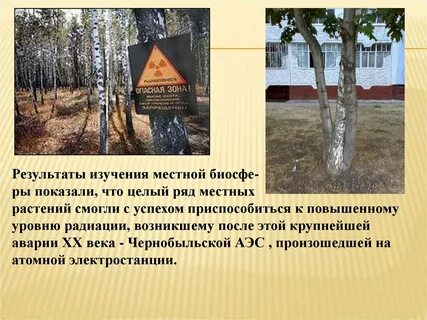 Изучение местных