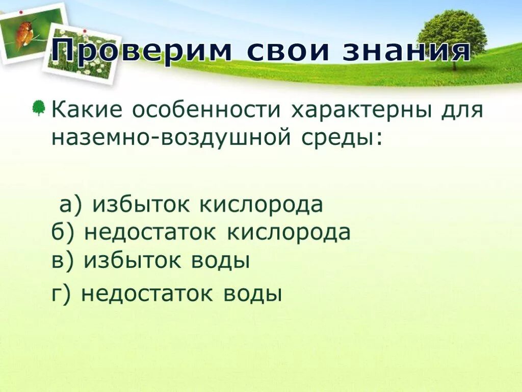 Недостатки наземно воздушной среды обитания. Особенности характерные для наземно воздушной среды. Какие особенности характерны для наземно-воздушной среды. Специфические особенности в наземно воздушной среде.