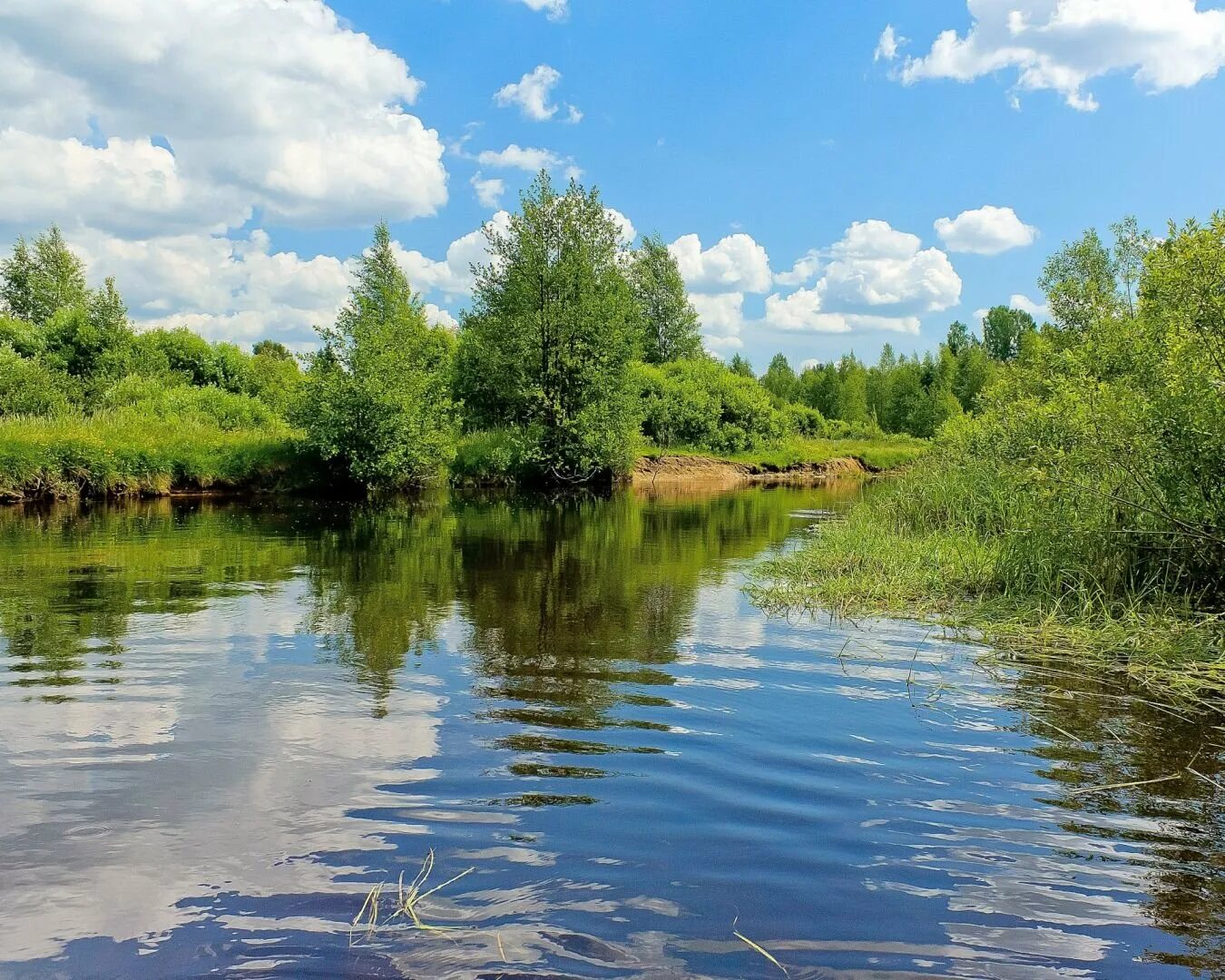 Река Тарбуга. Лопань (река). Река малый Койсуг. Река пыча. Лето река фото