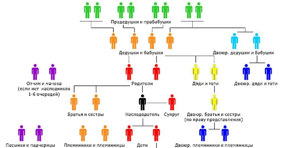 Родство братьев по отцу