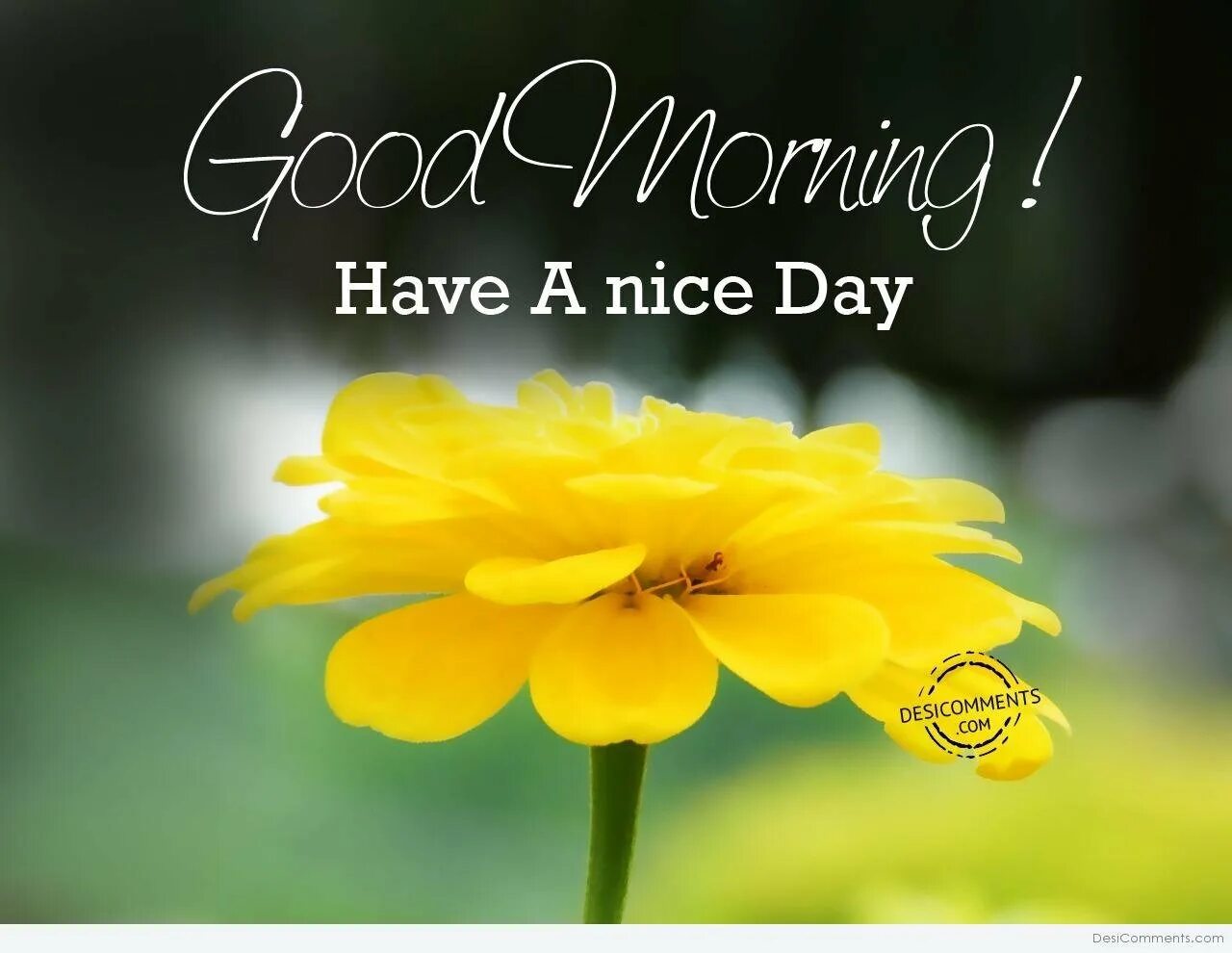 Небо солнце. Солнечное небо. Good morning have a nice day картинки. Good morning wish you a good day. Good sunny day.