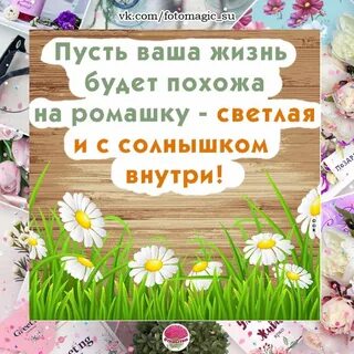 День зарасти