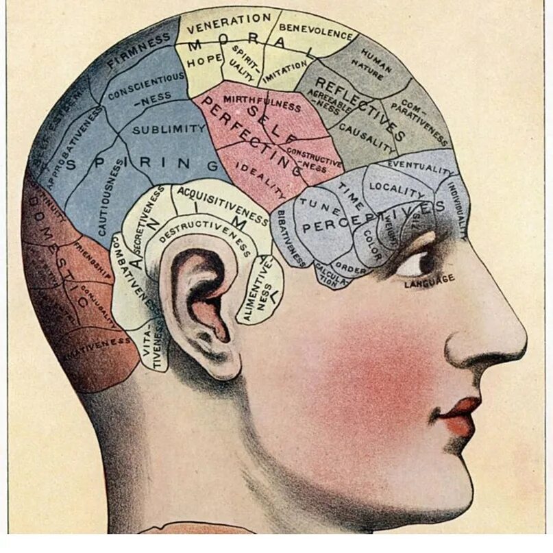Мозг терапия япония. Карты мозга Френология. Френология Галля. Френология это наука. Френология интеллект.