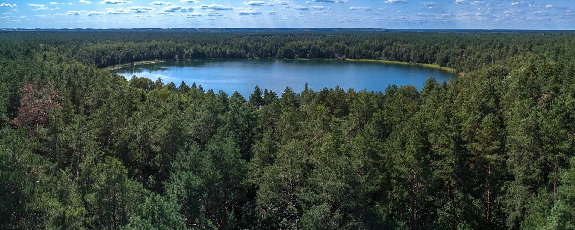 Озеро св. Озеро круглое Брянская область. Круглое озеро Дятьковский район. Озеро святое Дятьковский район. Святое озеро Брянск Жуковка.