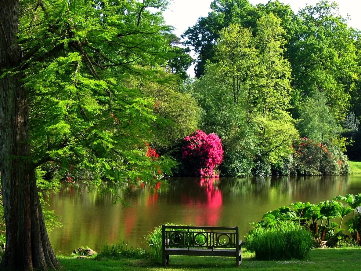 Парк какой прекрасный. Шеффилд парк. Сад Шеффилд. Парк Шеффилд Гарден,природа,цветы,деревья,.