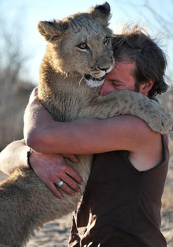 Лев обнимаю