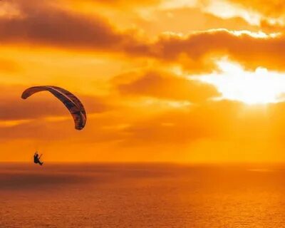 Into the sky