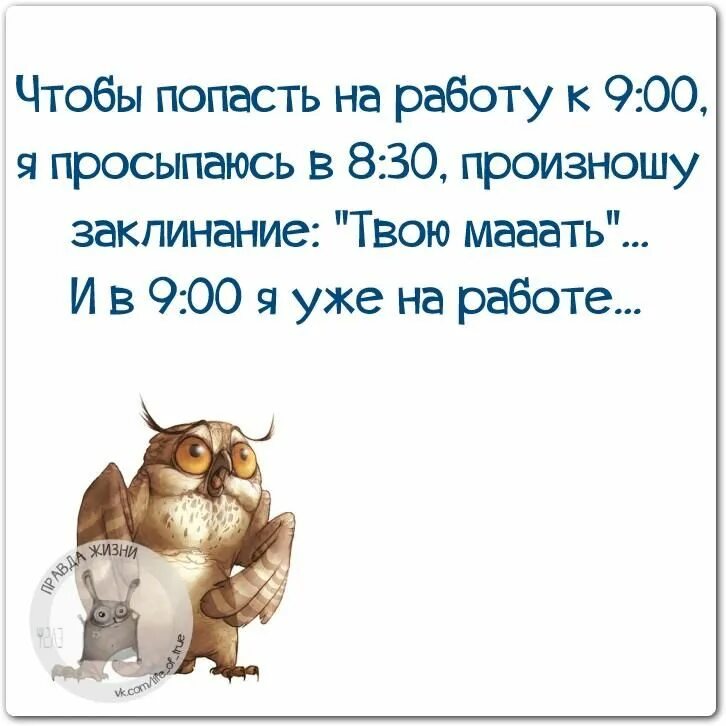 Смешные крылатые. Веселые высказывания. Веселые афоризмы. Смешные высказывания. Юмористические высказывания.