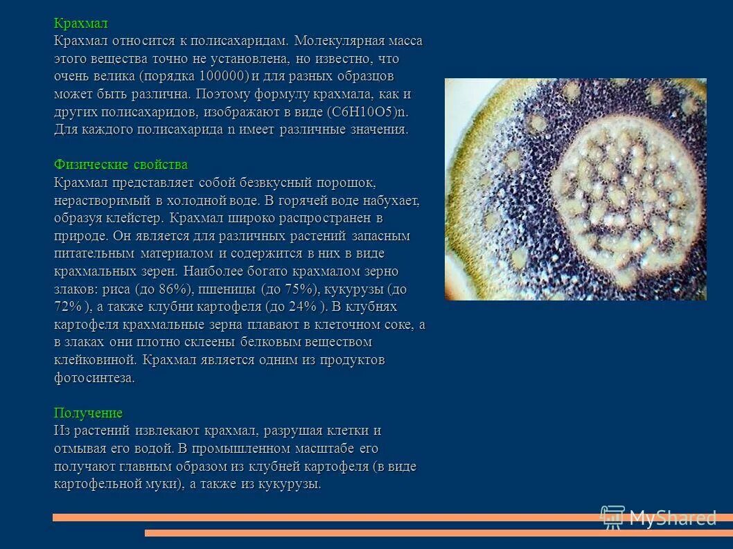 продукты с крахмалом. крахмал основное запасное вещество. нахождение в природе полисахаридов. крахмал презентация для детей. запасной полисахарид — крахмал.