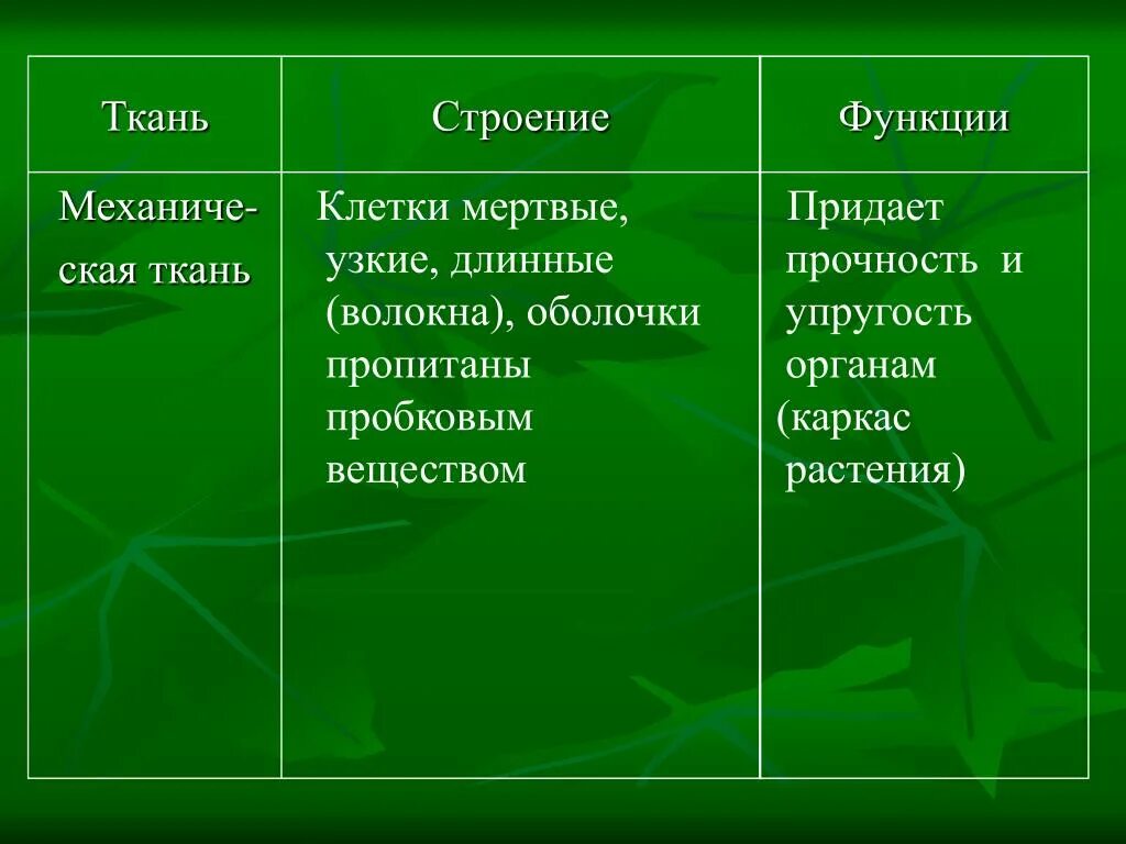 Придает клетке прочность и определяет ее форму. Ткани придающие прочность растениям. ткань придающая растениям прочность и упругость. механическая ткань строение и функции. клетки которые придают прочность растениям.