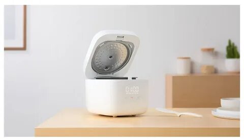 Xiaomi mijia mini