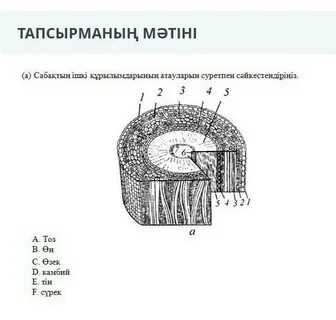 Ол қаламады, бірақ ол анальді жыныстық қатынасты талап етті.