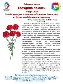 Гвоздика полезные свойства и применение отзывы