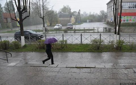 Погода в новоржеве сейчас