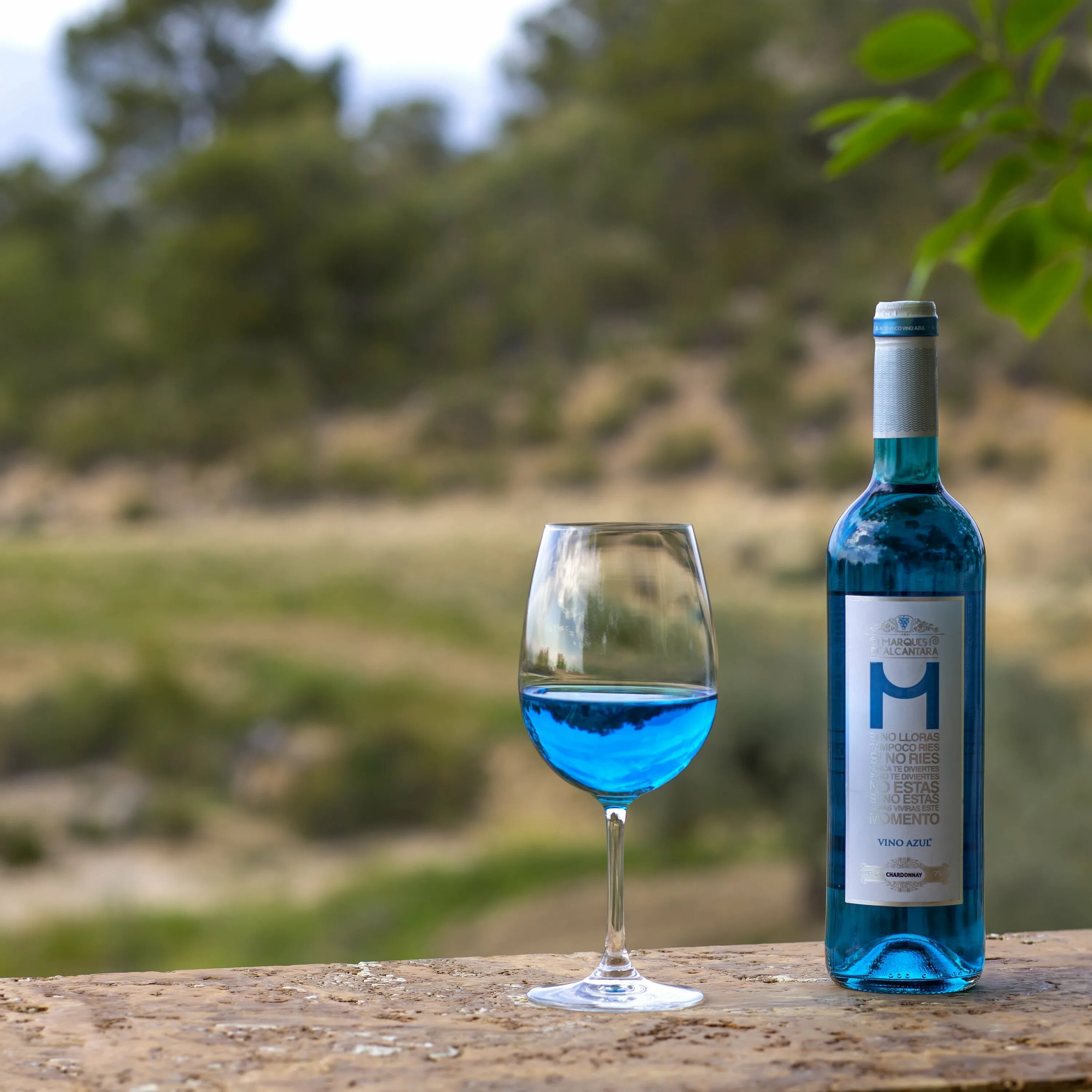 Голубое вино купить. Вино Shardone Blue. Вино marques de Alcantara Blue Wine. Mediterranean Blue вино. Березовое вино в Грузии.