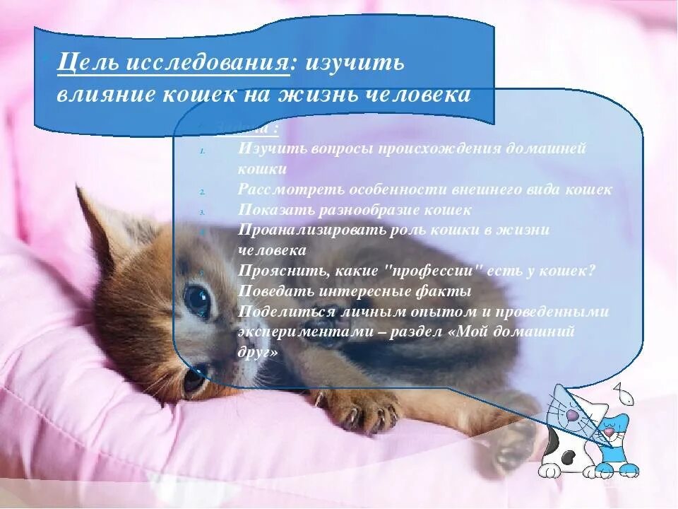Влияние кошек на человека. Влияние кошек на психоэмоциональное состояние человека. Влияние кошек на психику человека. Состояния человека в психологии. Психические состояния человека.