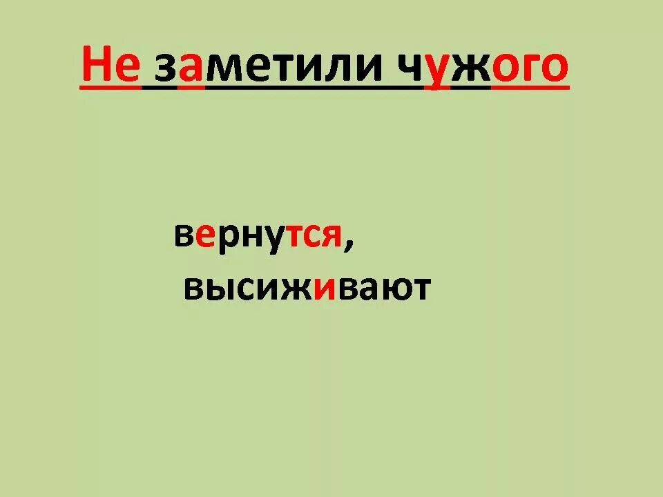 Изложение Кукушка. Изложение Кукушонок. Изложение Кукушка 3 класс. Краткое изложение Кукушка. Диктант кукушонок 3 класс