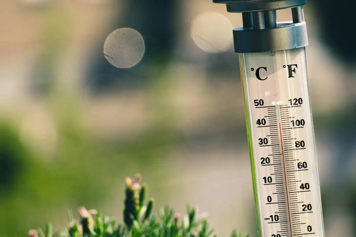 Аномальная жара. Градусник жара лето. Египет жара. Жара картинки. Изменение климата земли.