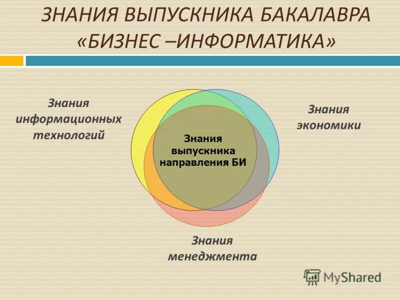 Специальность бизнес информатик. Бизнес информатика что это за профессия и кем работать. Бизнес информатика это. Бизнес-информатика специальность. Направление бизнес информатика.