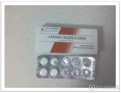 Амоксициллин до еды