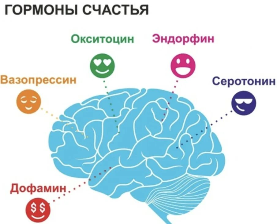 Дофаминовая любовь