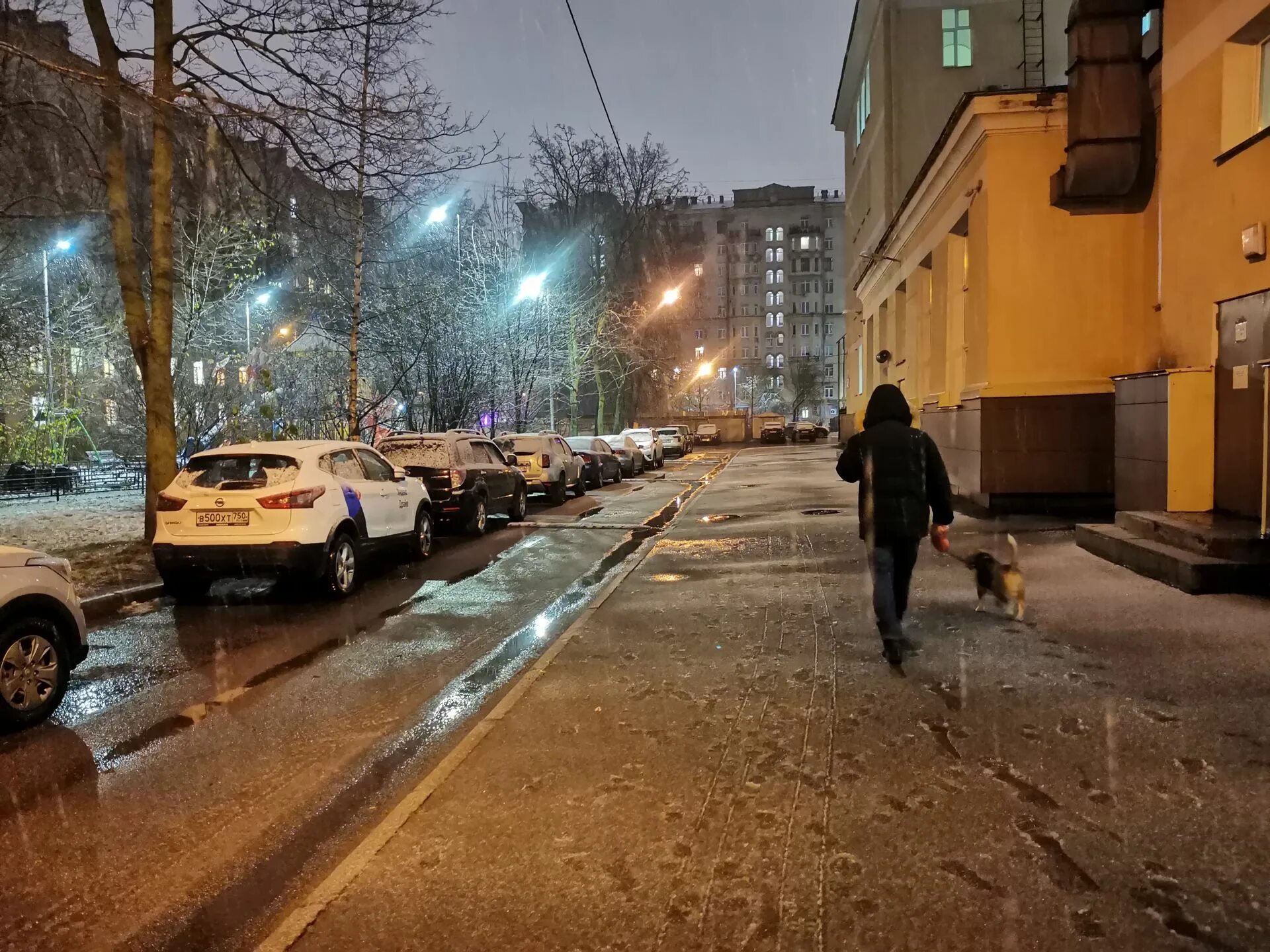 Ноябрь в городе. Снегопад в городе. Снег в городе. Снег в Питере.