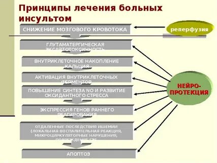 Принципы лечения пациентов