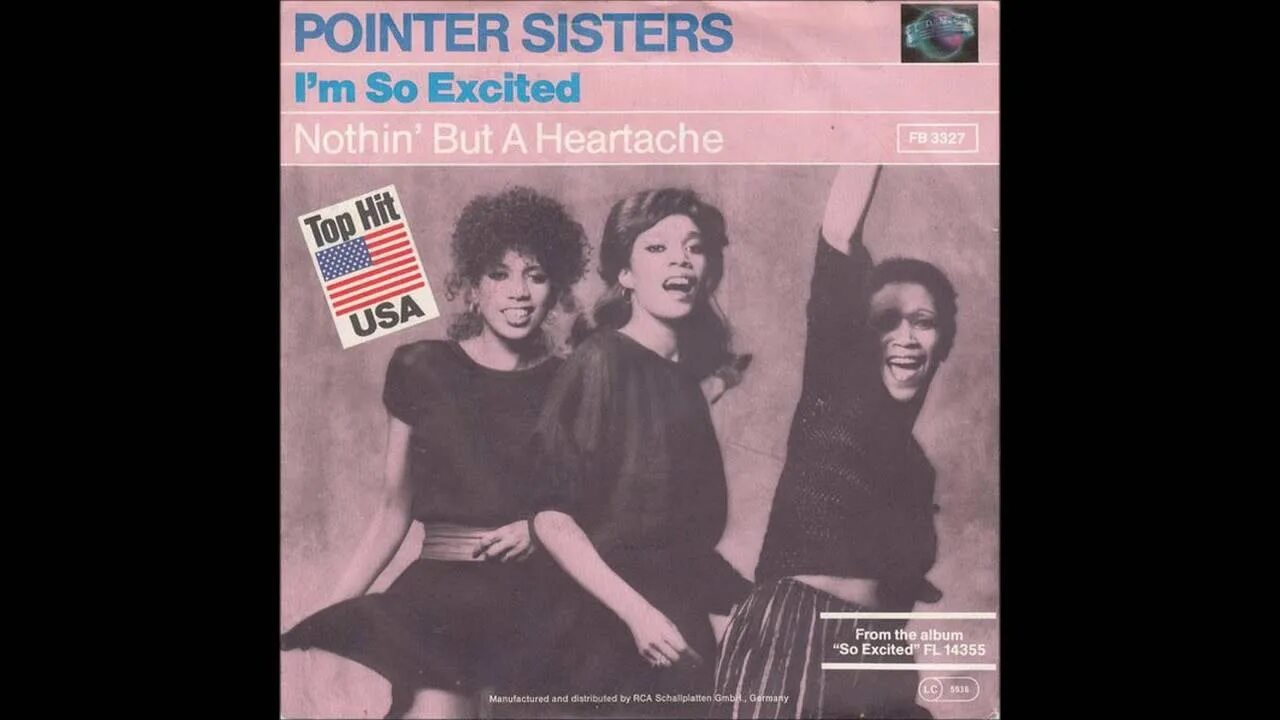 The Pointer sisters i'm so excited. The Pointer sisters i'm so excited обложка. The Pointer sisters фото. Группа the Pointer sisters posters. Sister in this life