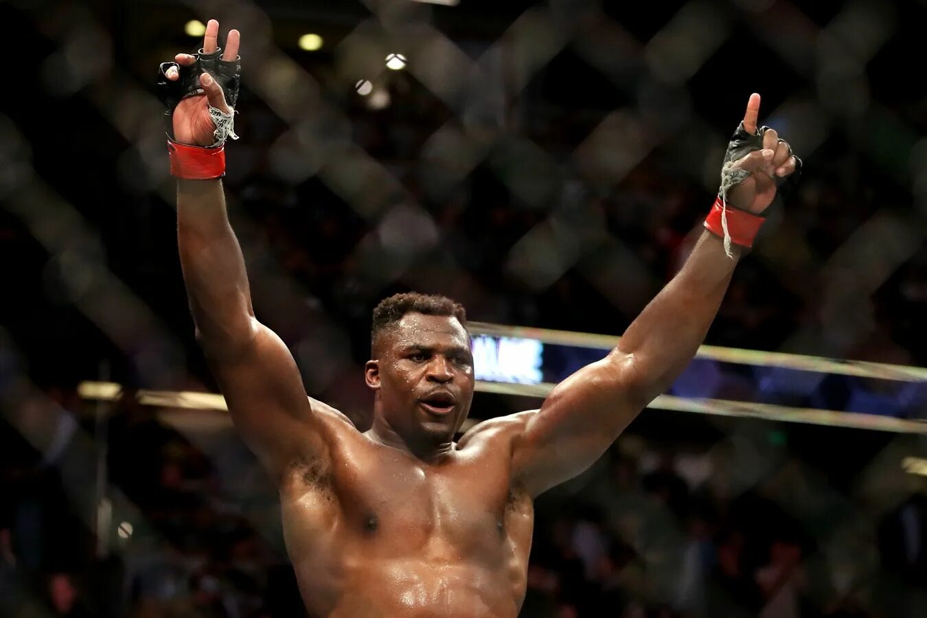 Фрэнсис Нганну. Нгану Франсис вес. Франсис Нганну Фьюрри. Francis Ngannou UFC.