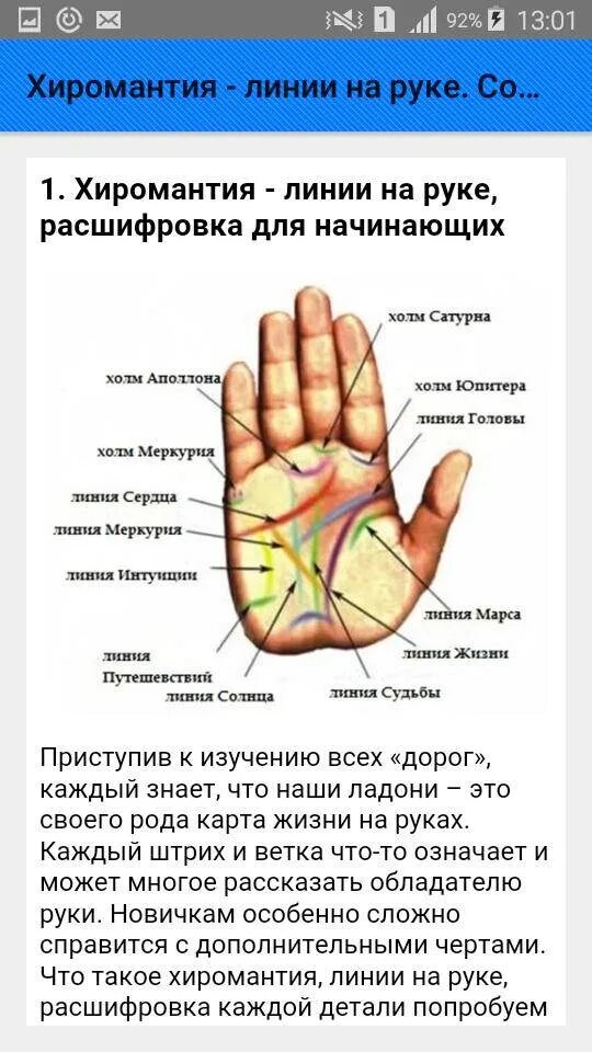 Ладонь описание