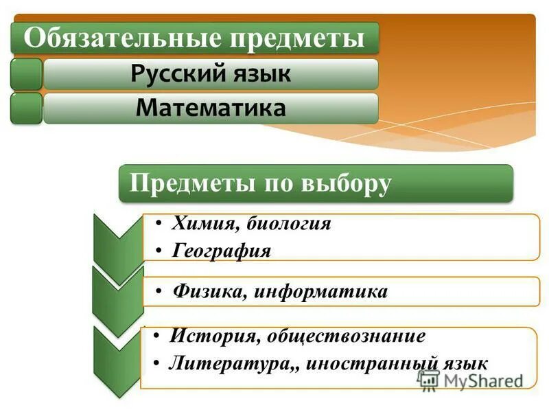 Информатика физика литература обществознание