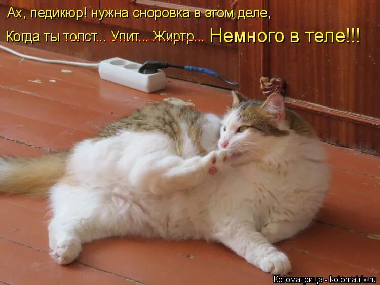 обладающий хорошей сноровкой человек. физическое качество ловкость. развитие ловкости человека. обладающий хорошей сноровкой человек. юмор про спину.