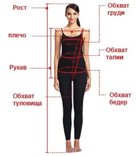 Обхват туловища